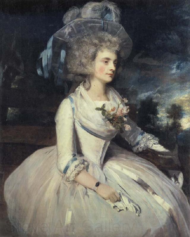 Sir Joshua Reynolds Selina,Lady Skipwith France oil painting art